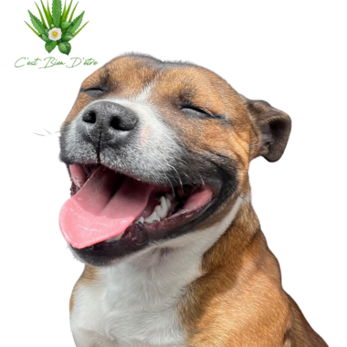 Dosage des huiles sublinguales de CBD et CBG