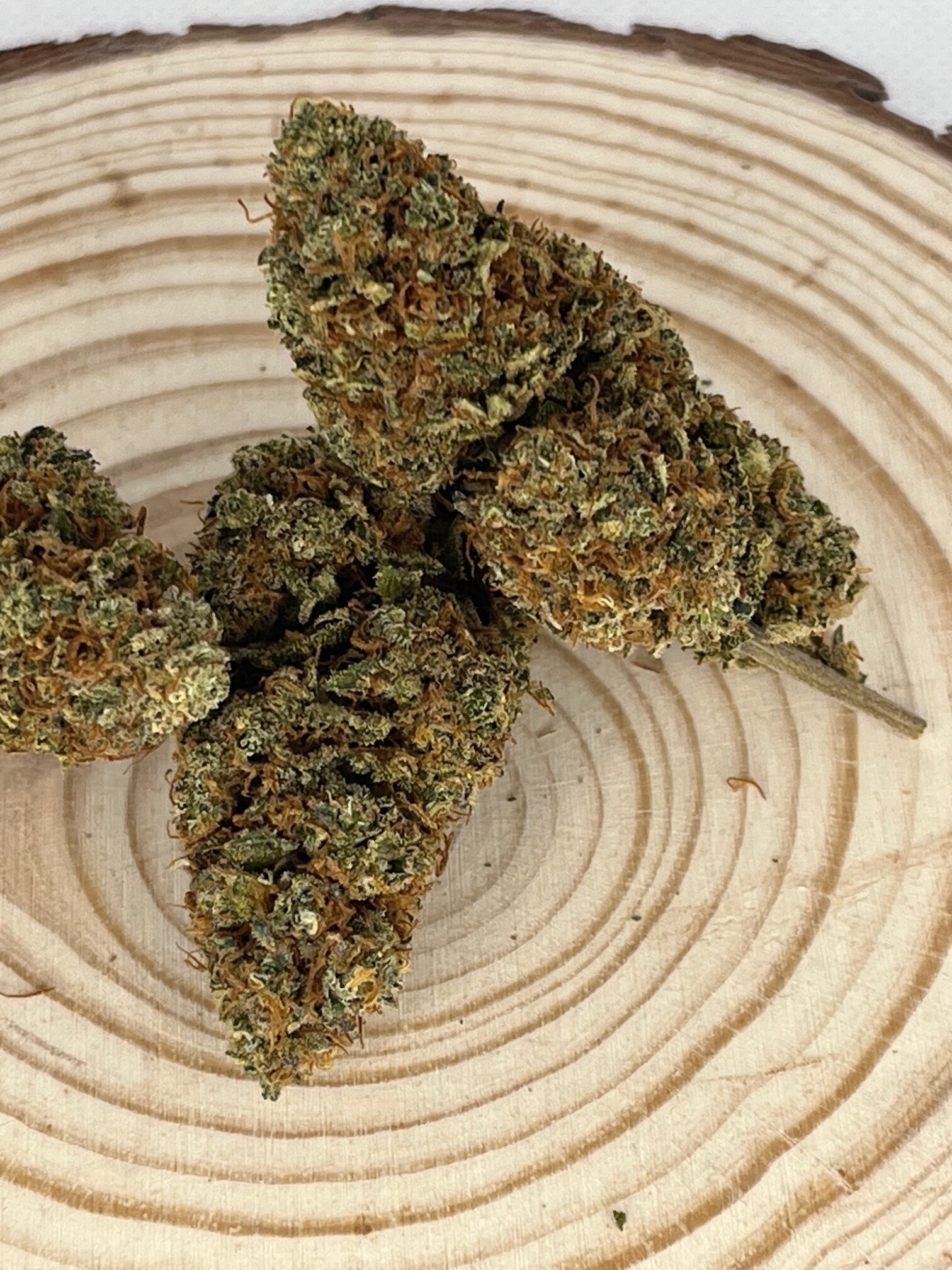 Boom Berry Découvrez la Boom Berry, une fleur de CBD 100 % naturelle et cultivée en France. Réputée pour ses arômes envoûtants de baies juteuses et son goût sucré, la Boom Berry offre une expérience unique aux amateurs de cannabis légal. Avec une teneur élevée en CBD et un faible taux de THC, cette fleur est idéale pour ceux qui recherchent les bienfaits du cannabidiol sans effets psychoactifs. Cultivée dans le respect de l'environnement, la Boom Berry est le choix parfait pour une relaxation profonde et un apaisement du stress. Son apparence séduisante, avec des têtes denses et résineuses, en fait une variété de choix pour les connaisseurs. Optez pour la Boom Berry, la fleur de CBD française qui allie qualité, saveur et bien-être. Parfaite pour une consommation en infusion ou en vaporisation, la Boom Berry s'intègre facilement dans votre routine quotidienne. Découvrez les vertus naturelles du CBD avec cette fleur d'exception, et laissez-vous séduire par la douceur de la Boom Berry.
