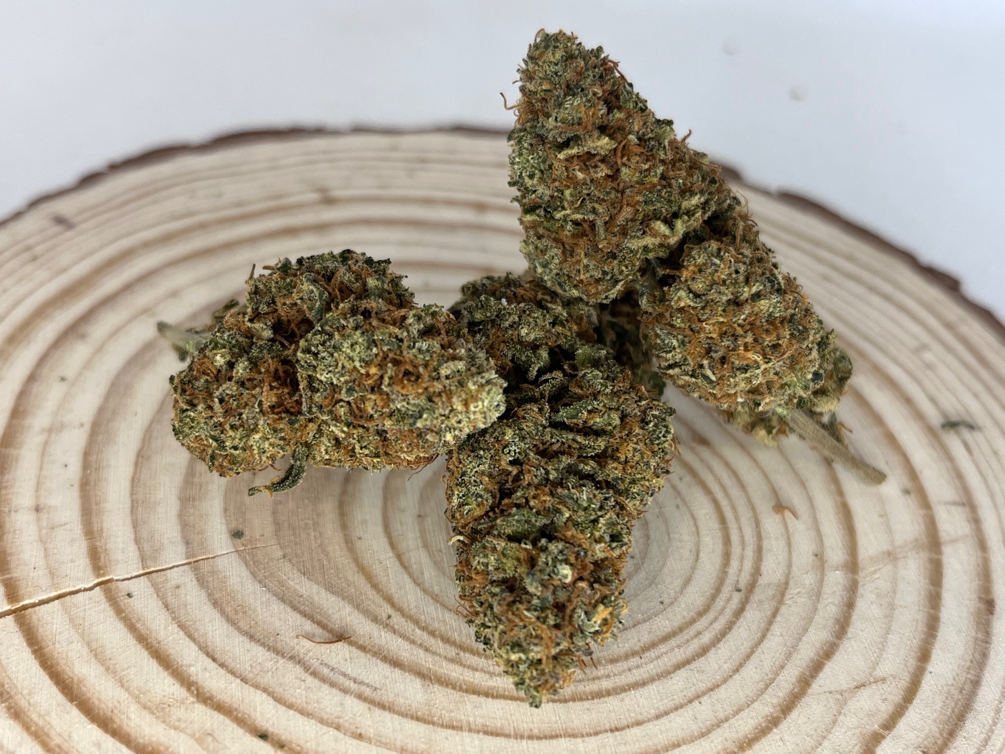 Boom Berry Découvrez la Boom Berry, une fleur de CBD 100 % naturelle et cultivée en France. Réputée pour ses arômes envoûtants de baies juteuses et son goût sucré, la Boom Berry offre une expérience unique aux amateurs de cannabis légal. Avec une teneur élevée en CBD et un faible taux de THC, cette fleur est idéale pour ceux qui recherchent les bienfaits du cannabidiol sans effets psychoactifs. Cultivée dans le respect de l'environnement, la Boom Berry est le choix parfait pour une relaxation profonde et un apaisement du stress. Son apparence séduisante, avec des têtes denses et résineuses, en fait une variété de choix pour les connaisseurs. Optez pour la Boom Berry, la fleur de CBD française qui allie qualité, saveur et bien-être. Parfaite pour une consommation en infusion ou en vaporisation, la Boom Berry s'intègre facilement dans votre routine quotidienne. Découvrez les vertus naturelles du CBD avec cette fleur d'exception, et laissez-vous séduire par la douceur de la Boom Berry.