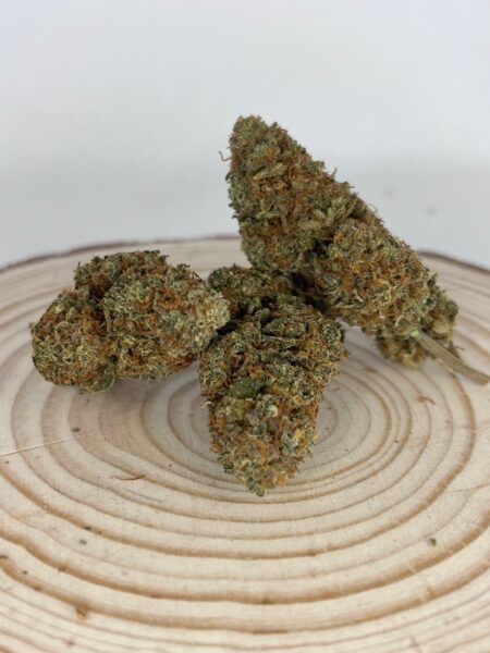 Découvrez la Boom Berry, une fleur de CBD 100 % naturelle et cultivée en France. Réputée pour ses arômes envoûtants de baies juteuses et son goût sucré, la Boom Berry offre une expérience unique aux amateurs de cannabis légal. Avec une teneur élevée en CBD et un faible taux de THC, cette fleur est idéale pour ceux qui recherchent les bienfaits du cannabidiol sans effets psychoactifs. Cultivée dans le respect de l'environnement, la Boom Berry est le choix parfait pour une relaxation profonde et un apaisement du stress. Son apparence séduisante, avec des têtes denses et résineuses, en fait une variété de choix pour les connaisseurs. Optez pour la Boom Berry, la fleur de CBD française qui allie qualité, saveur et bien-être. Parfaite pour une consommation en infusion ou en vaporisation, la Boom Berry s'intègre facilement dans votre routine quotidienne. Découvrez les vertus naturelles du CBD avec cette fleur d'exception, et laissez-vous séduire par la douceur de la Boom Berry.