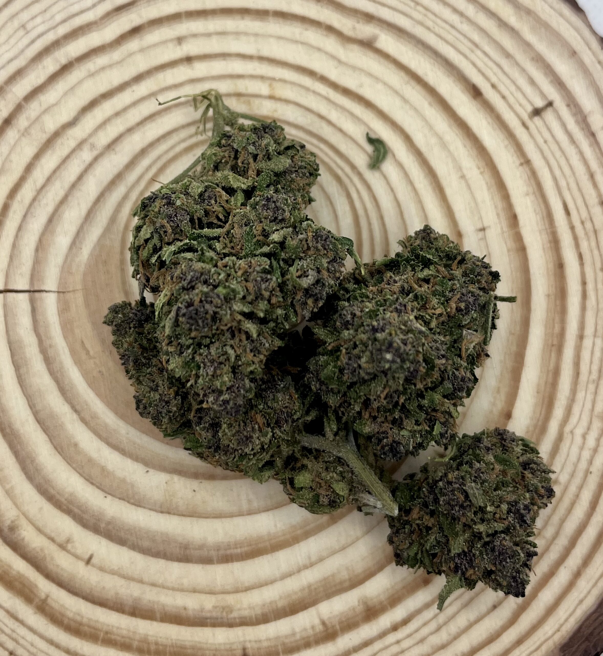 Black Pearl Fleur de CBD Black Pearl, cultivée en France dans des conditions de glasshouse. Buds denses et résineux, présentant une couleur vert foncé avec des pistils orange vif. Arômes envoûtants mêlant notes terreuses et sucrées. Cette variété offre une riche composition en CBD, avec des effets relaxants et apaisants, idéale pour le bien-être