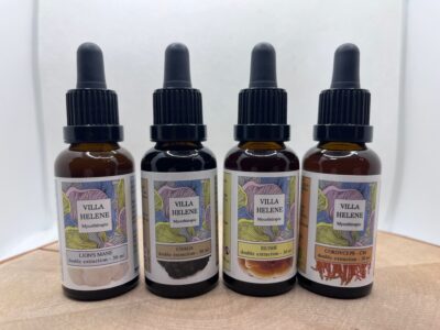 Champignons Adaptogènes